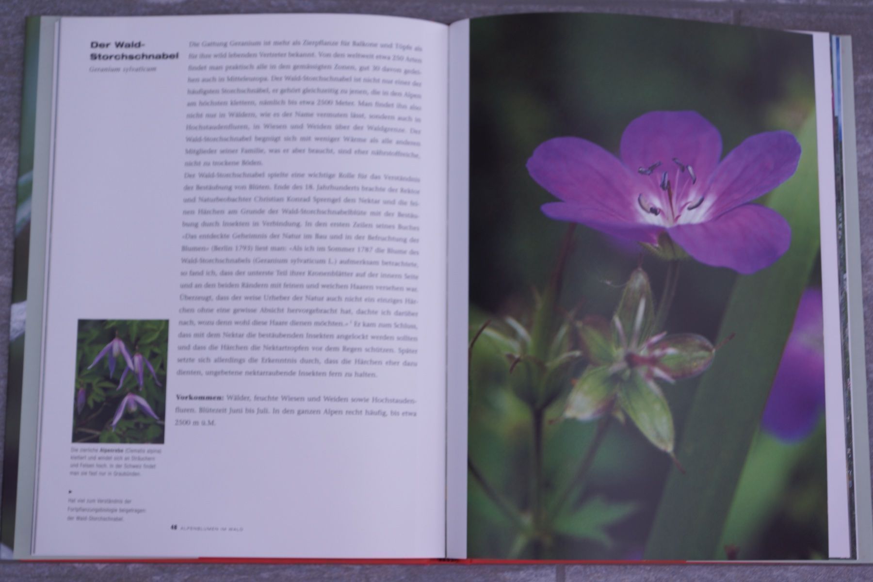 Libri: Die schönsten Alpenblumen – Nuovo (secondo la descrizione) da Obstalden venduto da Porco13 3