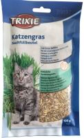 💥Katzengras zum Selbstziehen