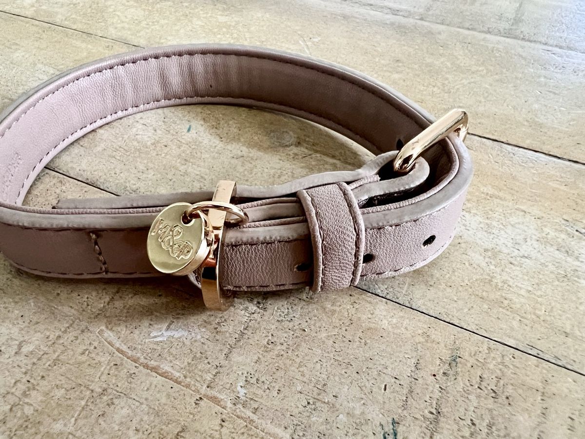 Guinzagli & Collari: Edles Hundehalsband – Usato da Ebertswil venduto da Arula7 1