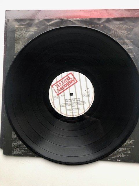 Dischi in vinile: Wall Of Voodoo – Usato da Aarwangen venduto da Jukebox3 6