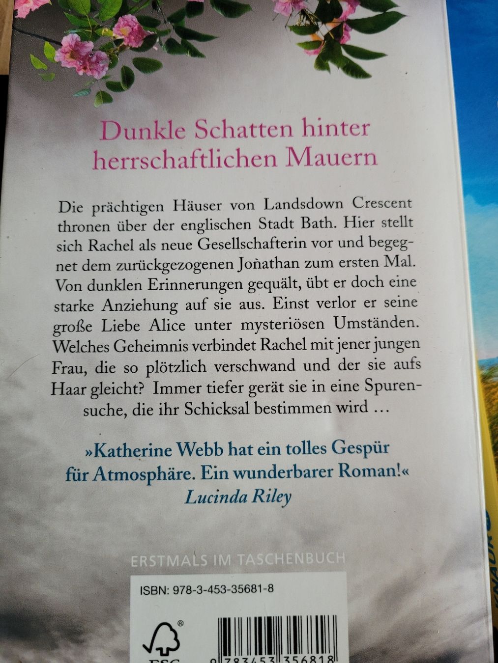 Libri: grosses Bücherpaket – Usato da Bennau venduto da nat_myx8 3