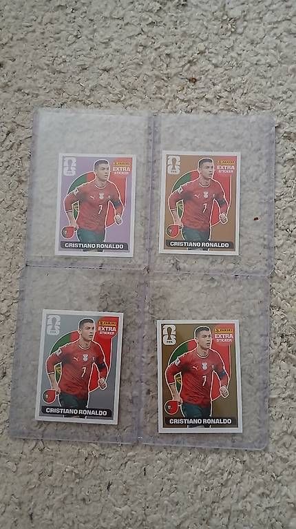 Panini Carte collezionabili: RONALDO FULL SET – Usato da Dietikon venduto da Jonas_8953