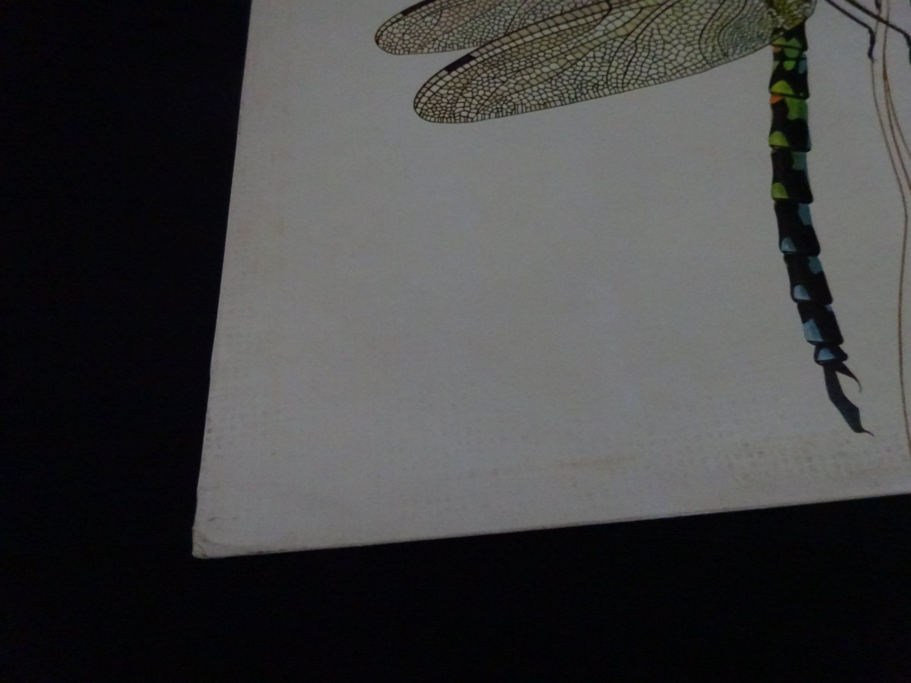 Dischi in vinile: LP Strawbs - Dragonfly von 1970 – Usato da Birmenstorf venduto da Poweroldies 5