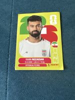 Panini Irn7