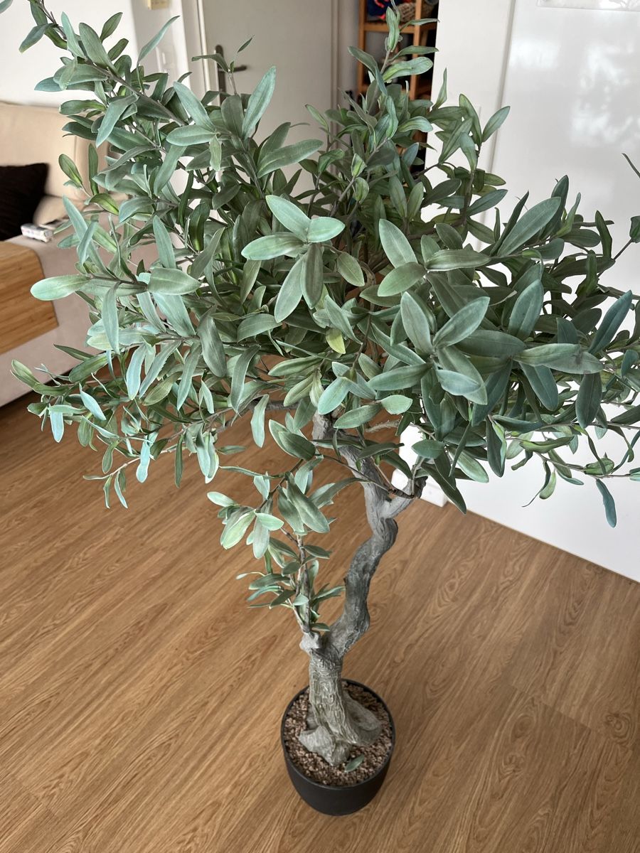 Tutte le decorazioni: Pflanze / Decorative tree – Usato da Cham venduto da EMO_ 1