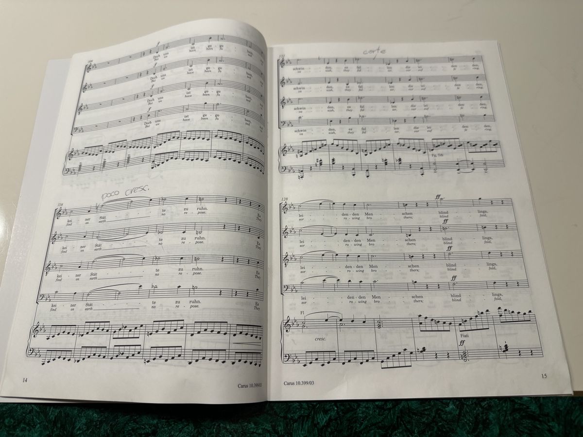 Libri: Brahms: Schicksalslied op. 54, Klavierauszug Noten – Usato da Wald ZH venduto da Martin79 4