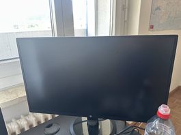 Bildschirm Monitor 24'' HP