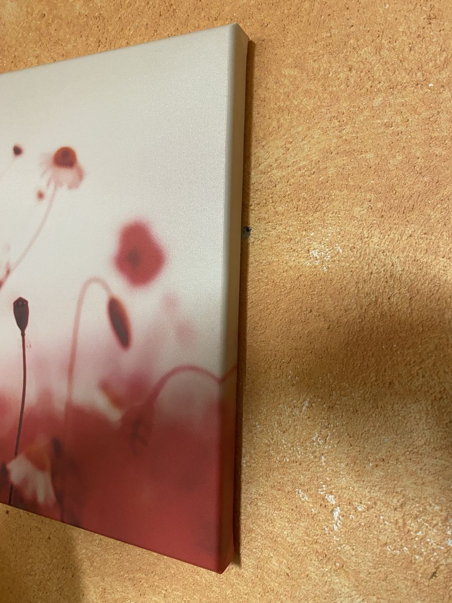 Poster & Bilder: Bild mit Mohnblumen – Gebraucht aus Wiesendangen von argon03 2