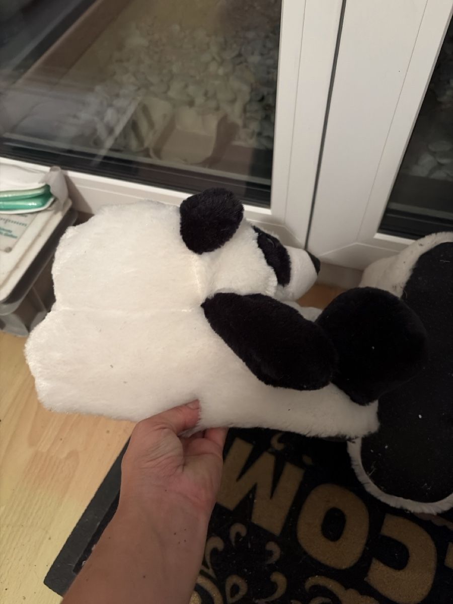 Herrenschuhe: Panda Pantoffeln Grösse 42 gebraucht  – Gebraucht aus Opfershofen TG von dan_nxk8 2