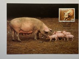 Maximumkarte Schweizer Tierschutz - Nutztier 2004 ET