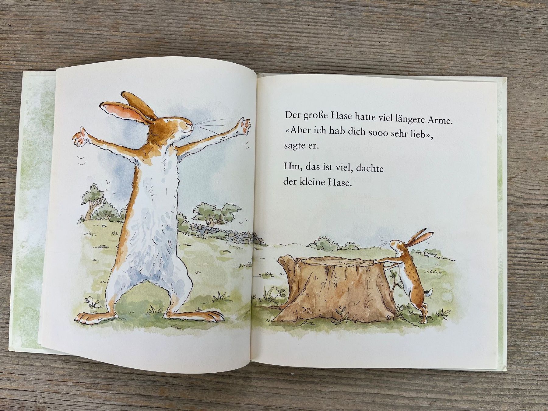 Libri: Weisst du eigentlich, wie lieb ich dich hab? Copyright 1994 – Usato da Pfäffikon ZH venduto da buresi 4