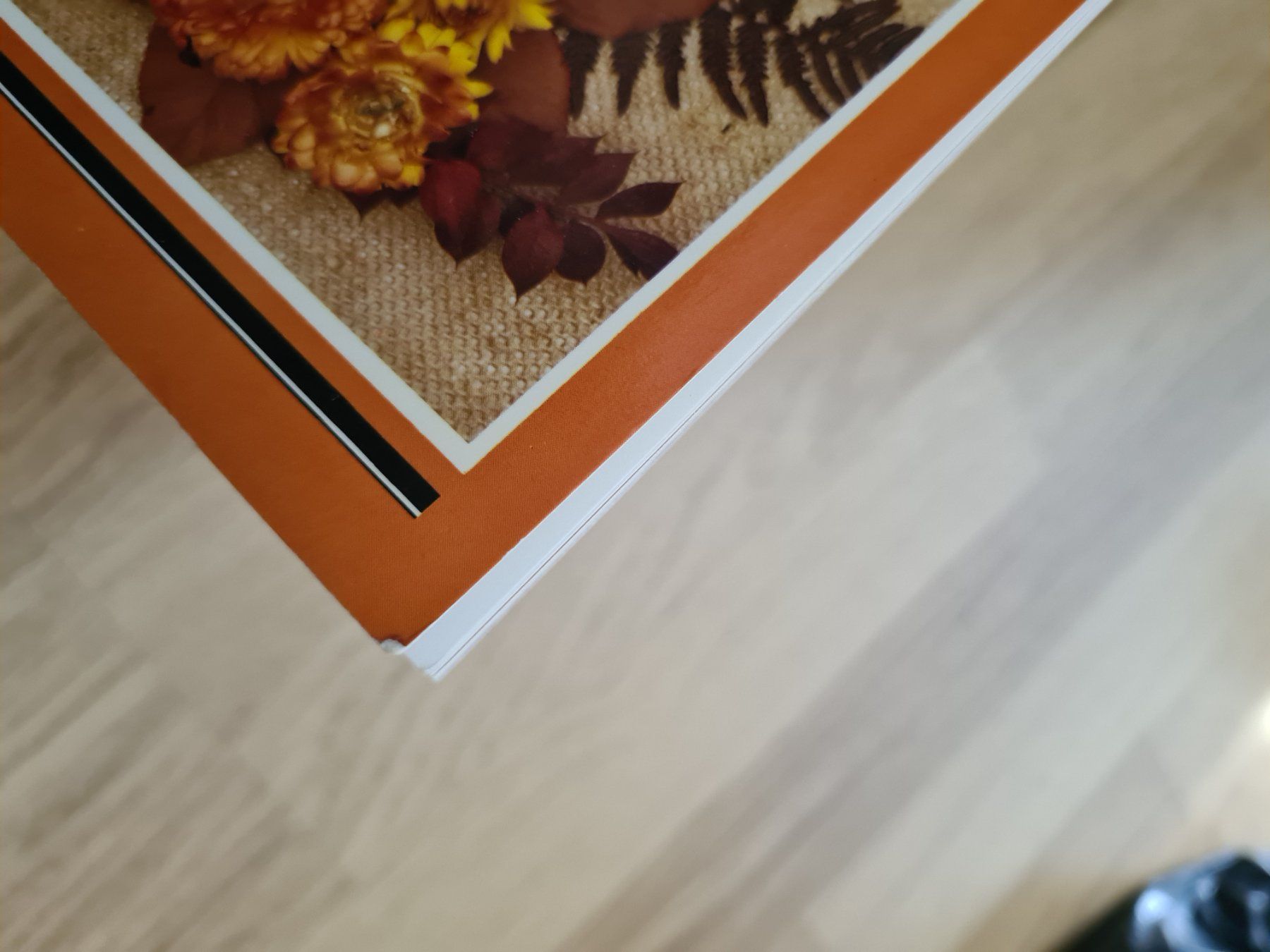 Libri: Basteln mit getrockneten Blumen und Gräsern Buch – Usato da Langenthal venduto da Polarisstern 7