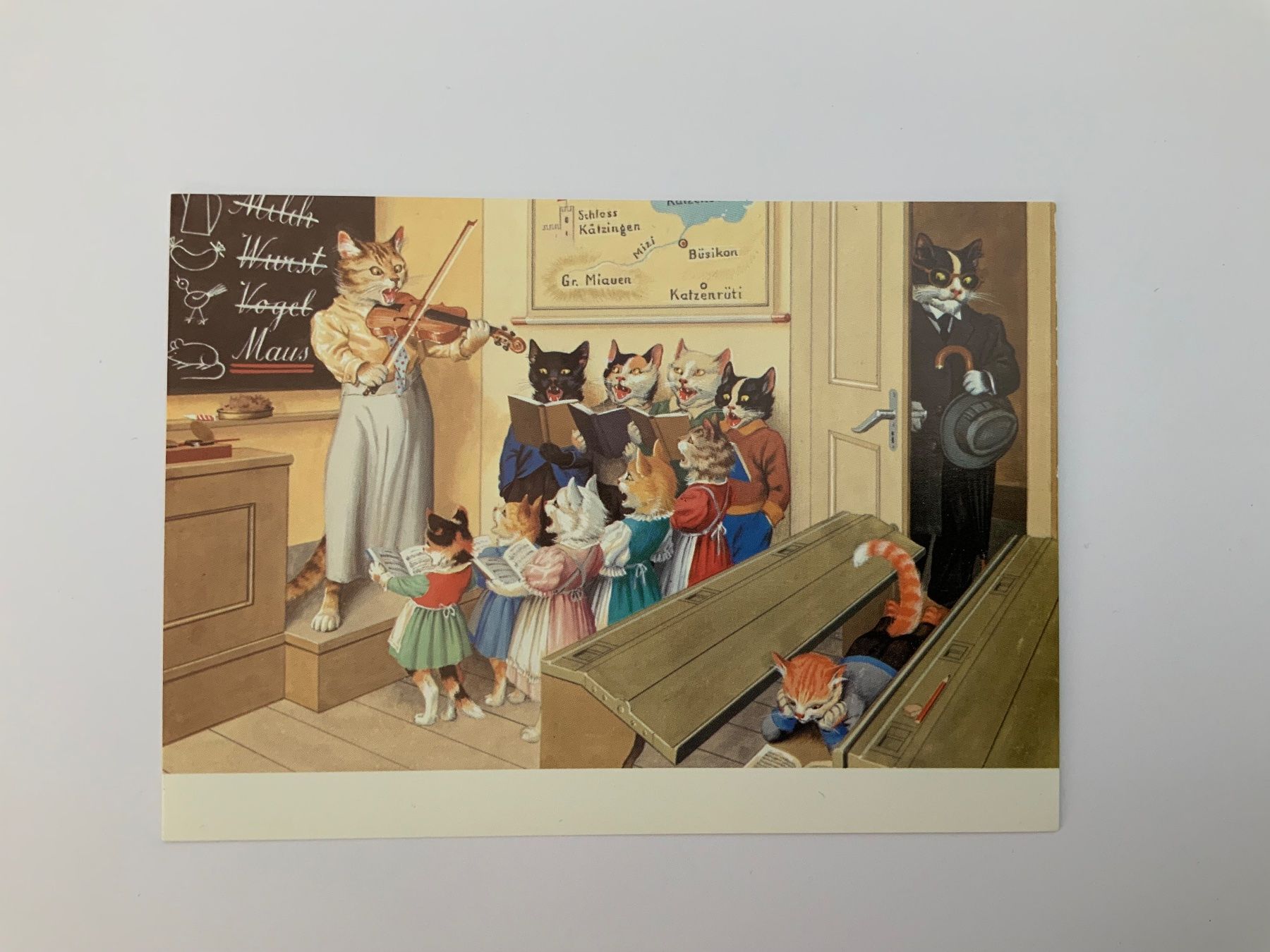 Cartoline postali: AK Katzen Katzenkarte Nr 111 – Usato da Opfikon venduto da Diversamente