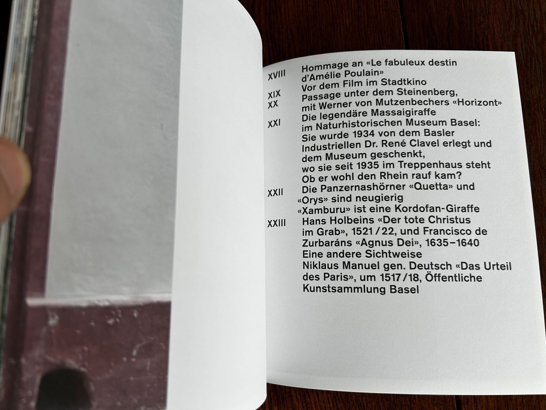 Libri: Dem Bild die Welt zeigen – Usato da Basel venduto da Chamisso 3