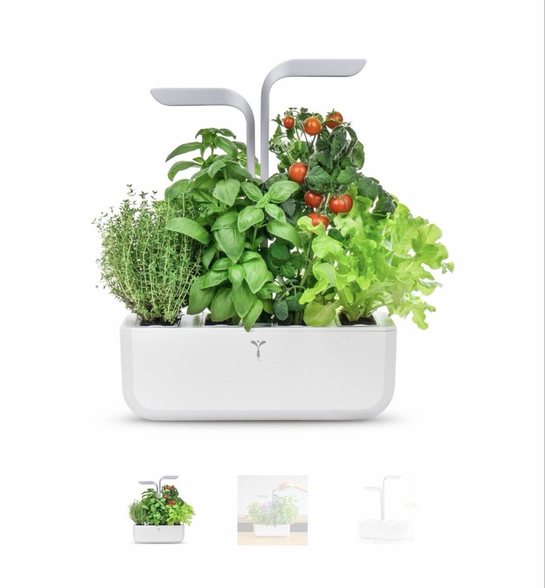 Vasi per fiori: Potager d’intérieur Véritable Smart – Usato da Corsier-sur-Vevey venduto da Ramee1 6