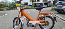 Moped / Motobecane
