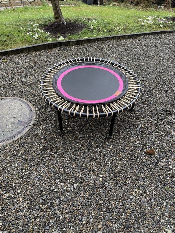 Fitness Trampolin 1
