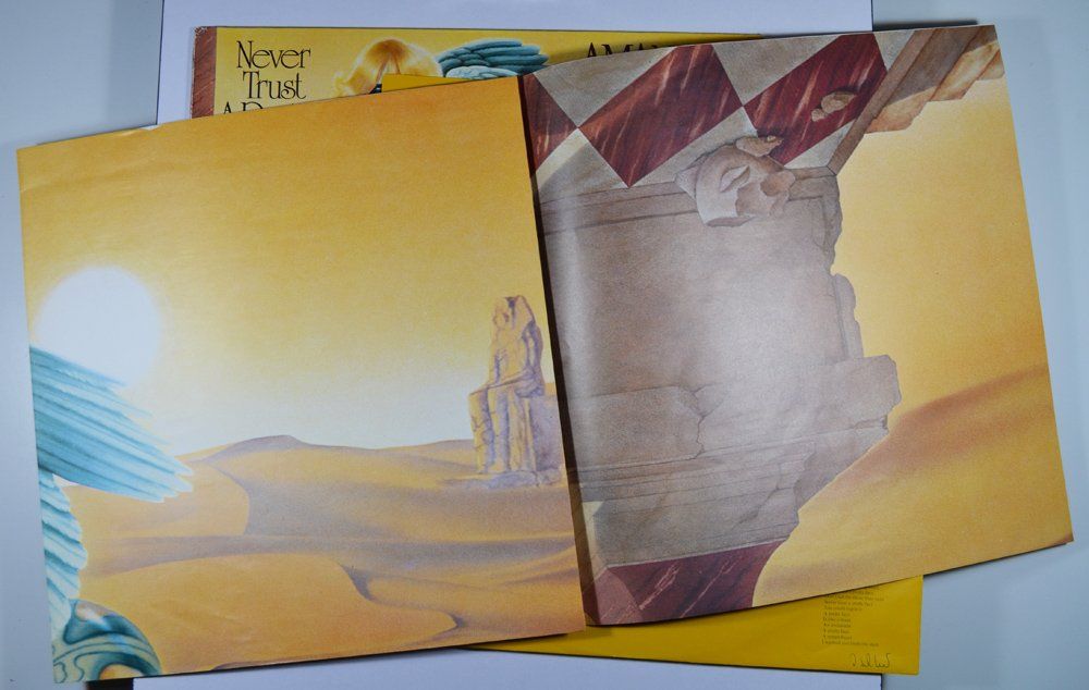 Schallplatten: LP: AMANDA LEAR - Never Trust A Pretty Face – Gebraucht aus Frenkendorf von  2