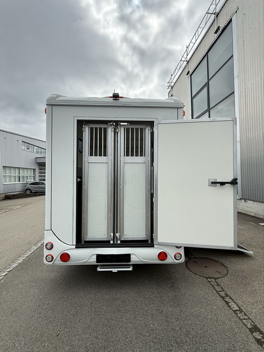 Steinsberger Rimorchi: Pferdeanhänger/ Pferdetransporter  – Nuovo (secondo la descrizione) da St. Gallen venduto da rap_kql2 4