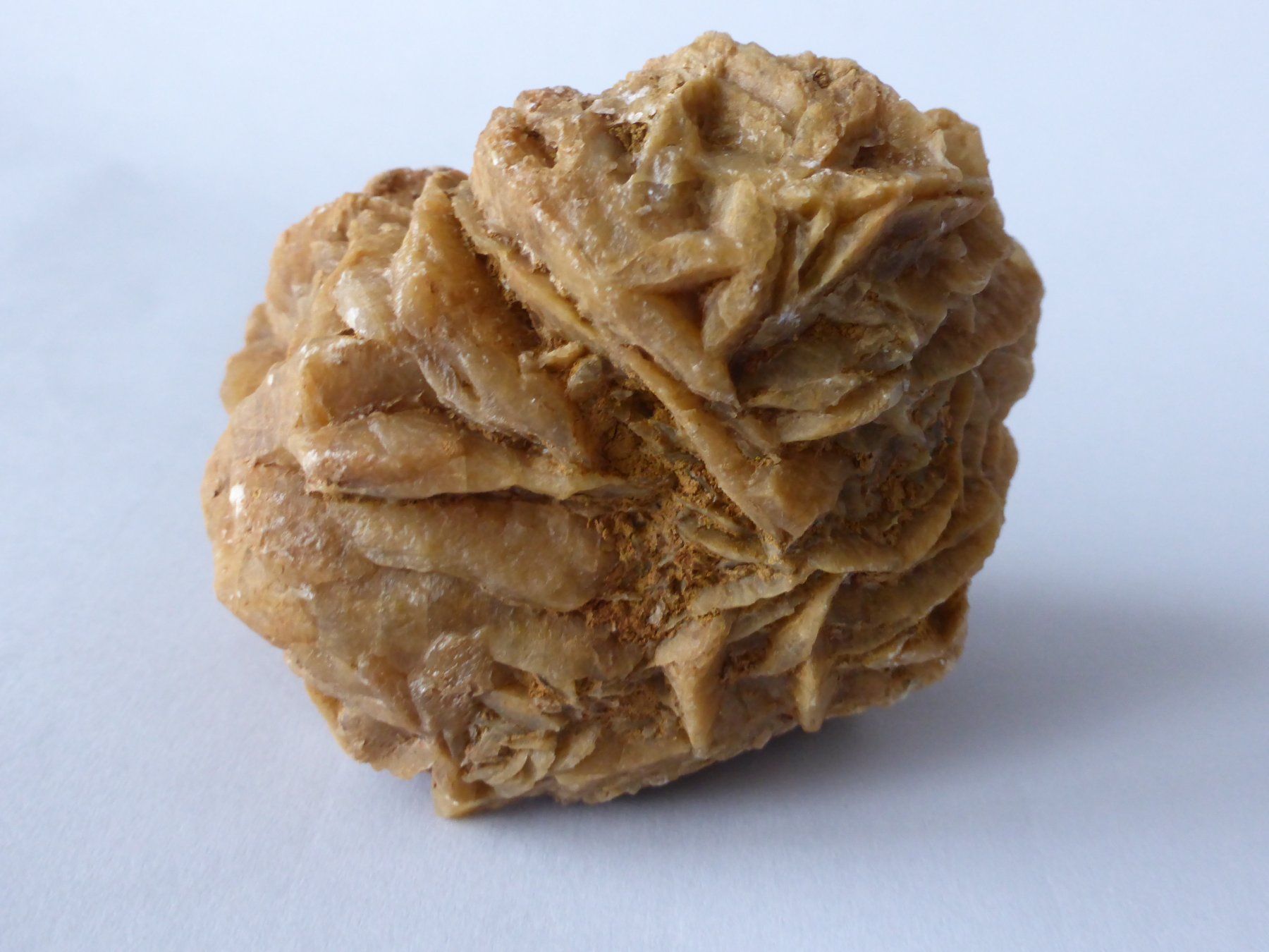 Mineralien & Heilsteine: Schweizer Gipsrose (Sandrose) – Gebraucht aus Triengen von Nussbaum14