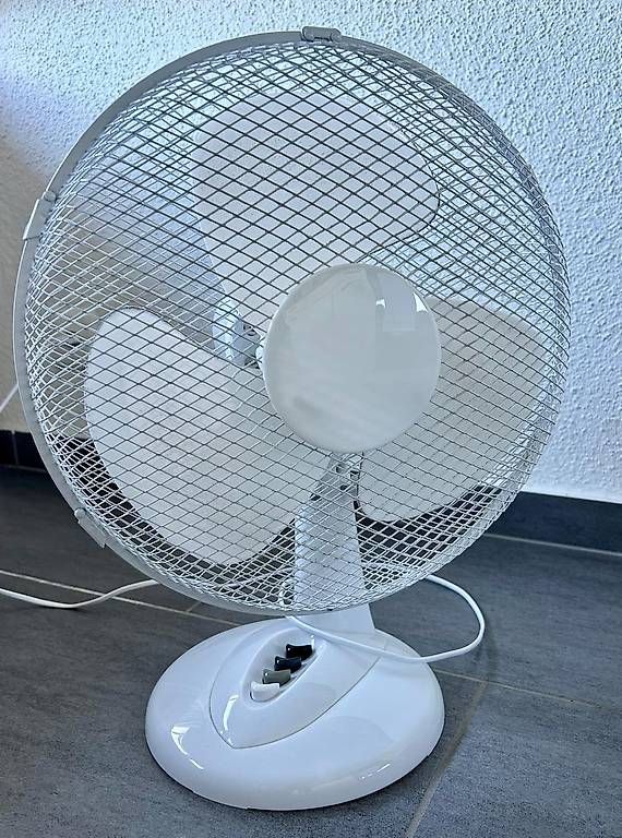Ventilatori: Tischventilator – Usato da Zürich venduto da chi_mf67