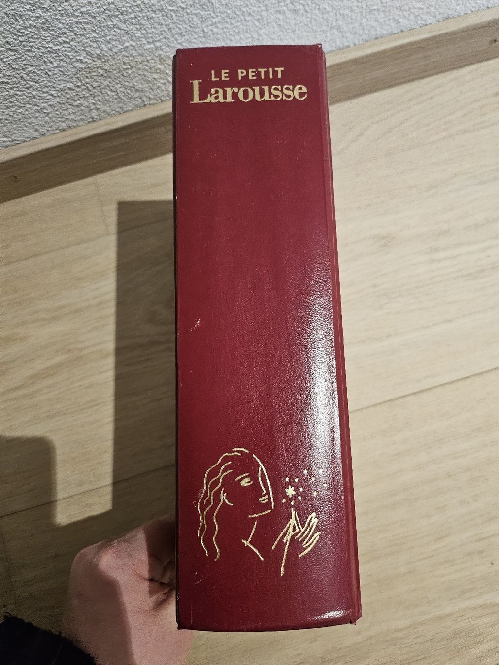 Libri: Le Petit Larousse illustré 2001 – Usato da La Joux FR venduto da car_ck96 9