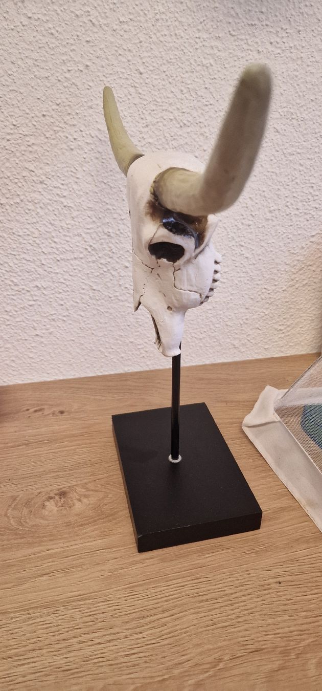 Statuette: Büffelkopf Statue mit Ständer neuwertig!! – Nuovo (secondo la descrizione) da Winterthur venduto da somasgrooverz 1