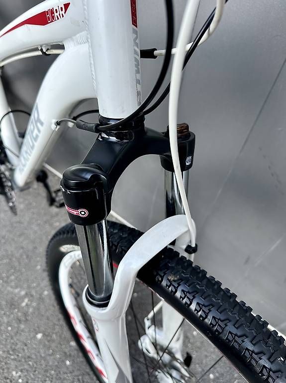 Velos: Bicicletta MTB RockRider BIG RR 29 SCONTO FINO 25.07.2026 – Gebraucht aus Quartino von DiloUsato 4