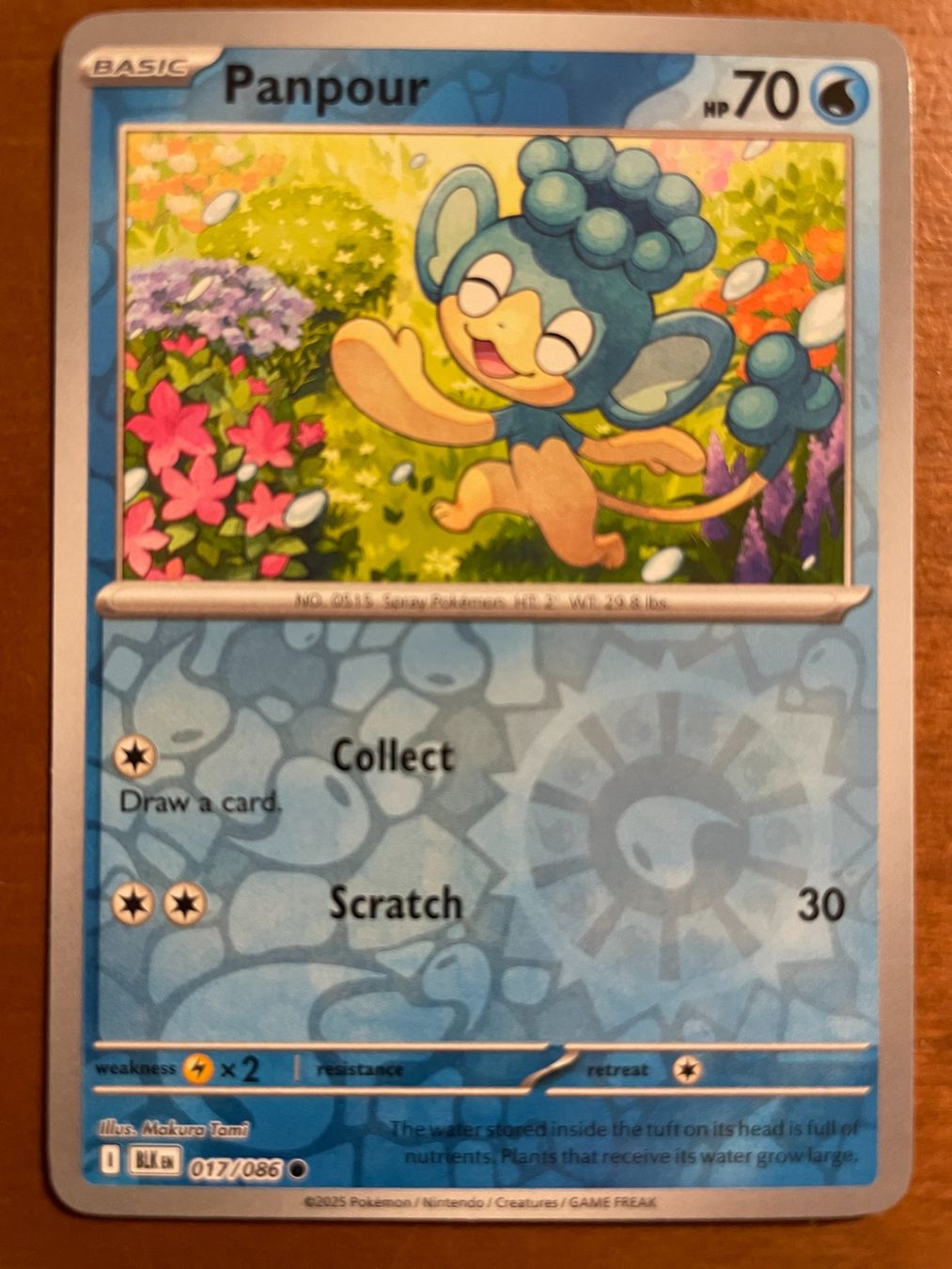 Pokémon Carte collezionabili: Pokemon Panpour Reverse (Versand gratis) – Nuovo (secondo la descrizione) da Chur venduto da Angerson