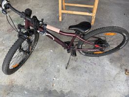 SCOTT Contessa 24 Disc Kinderfahrrad guter Zustand