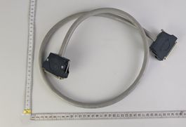 FKH5 FCT MÜNCHEN Kabel, 50-polig, Stecker - Male to Male