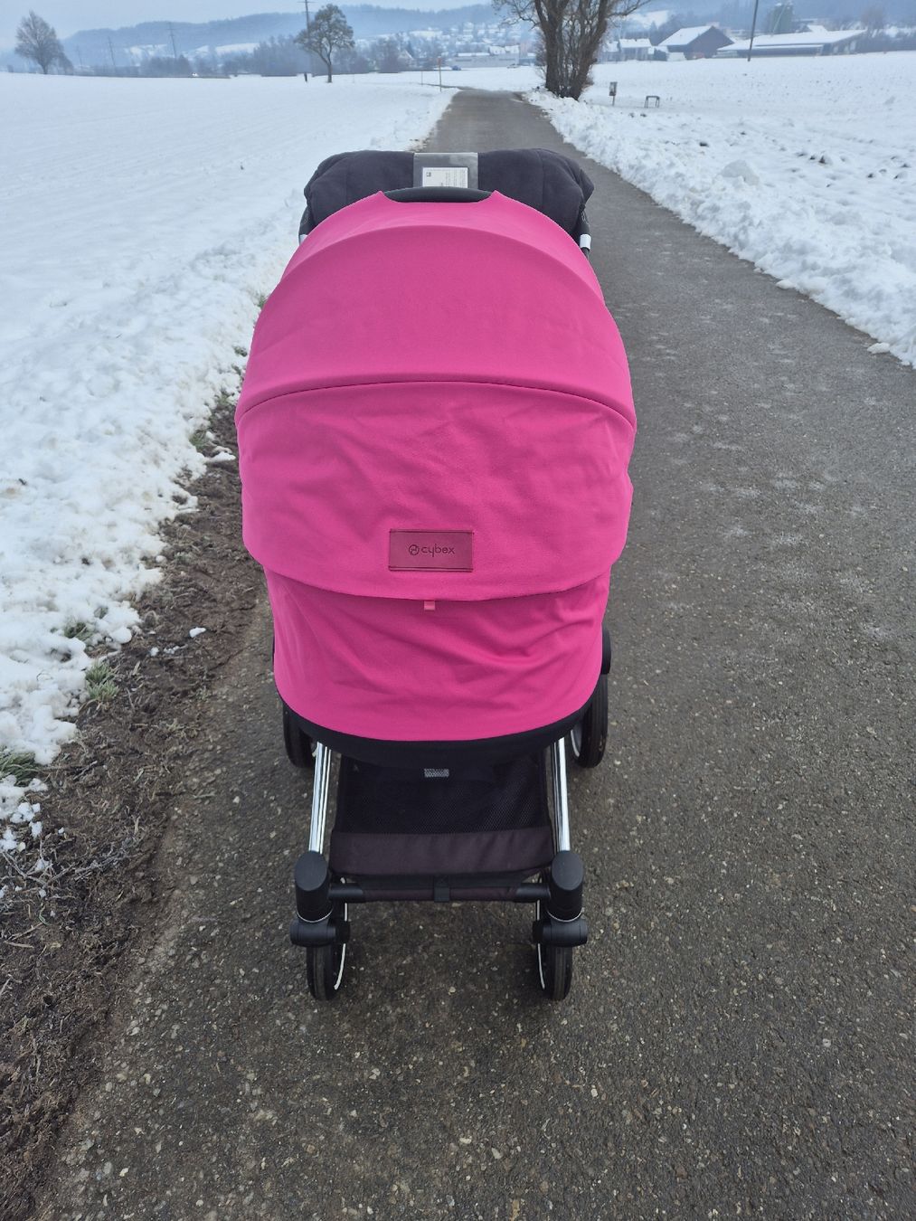 Cybex Carrozzine: Kinderwagen Cybex Platinum Priam – Usato da Schöftland venduto da nad_595y 1