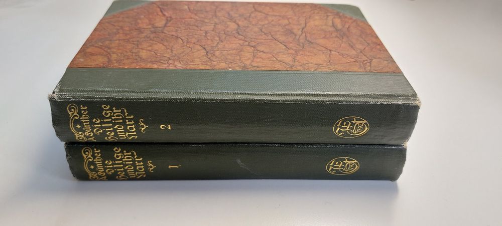 Die heilige und ihr Narr 1920 Kaufen auf Ricardo