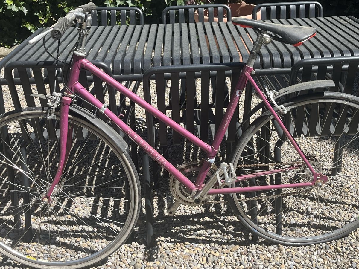 Biciclette: Rennvelo Damen – Usato da Zürich venduto da karinfu17