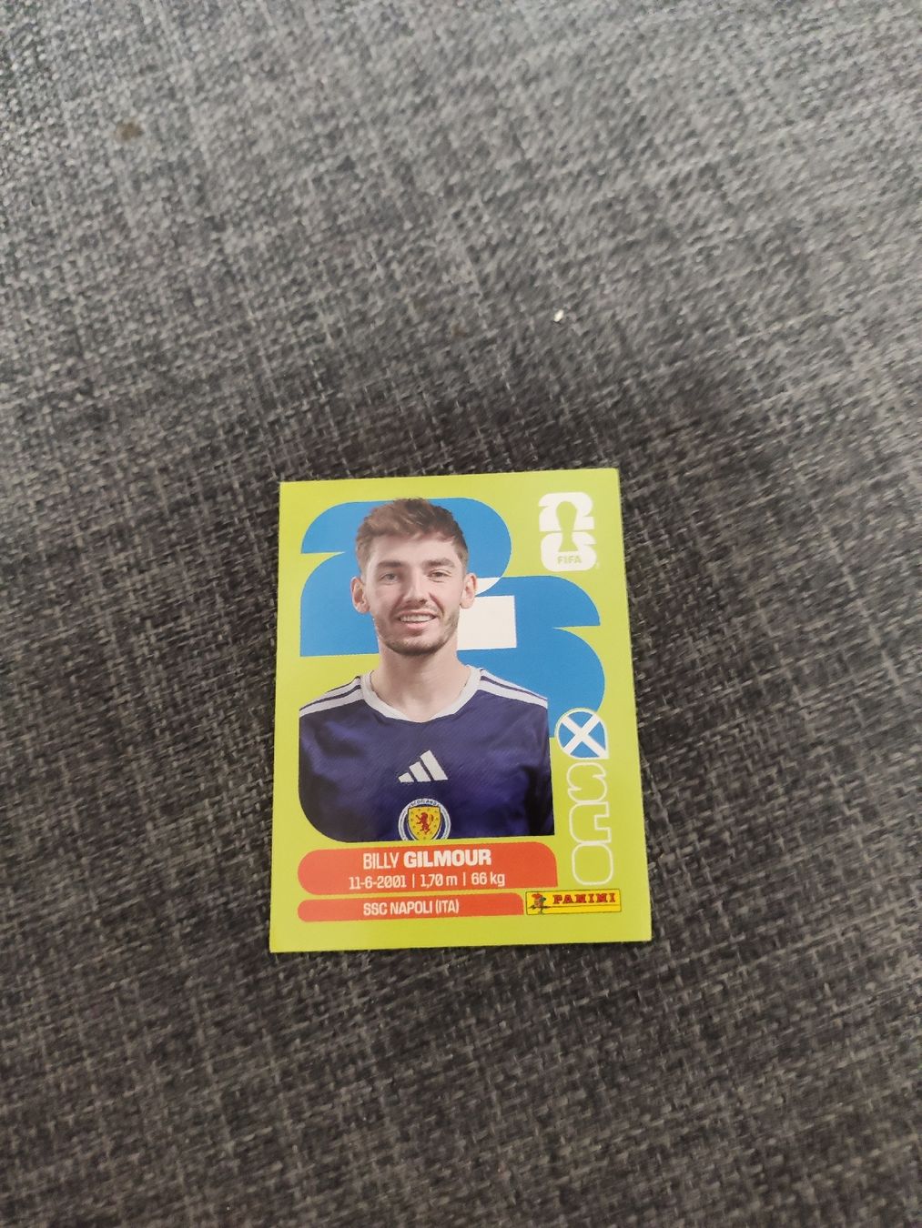 Panini Cartes à collectionner: panini SCO 12 – D'occasion à Ettenhausen TG par danielhoop