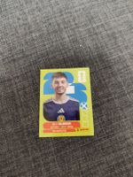 panini SCO 12