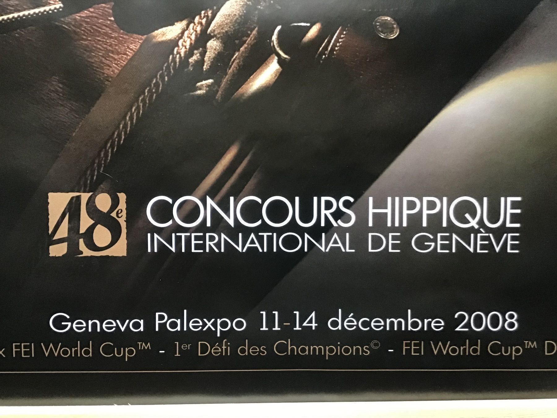 Poster & Bilder: Le défi des Champions FEI Rolex – Gebraucht aus Némiaz (Chamoson) von Patoshi 2