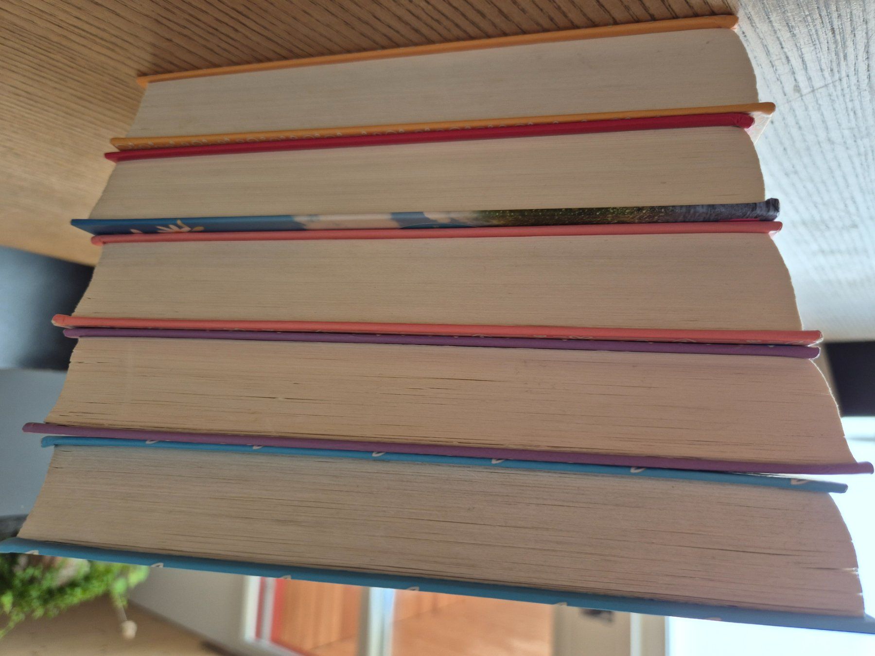 Bücher: Charlottes Traumpferd Serie – Gebraucht aus Bourguillon von sibzoy 2