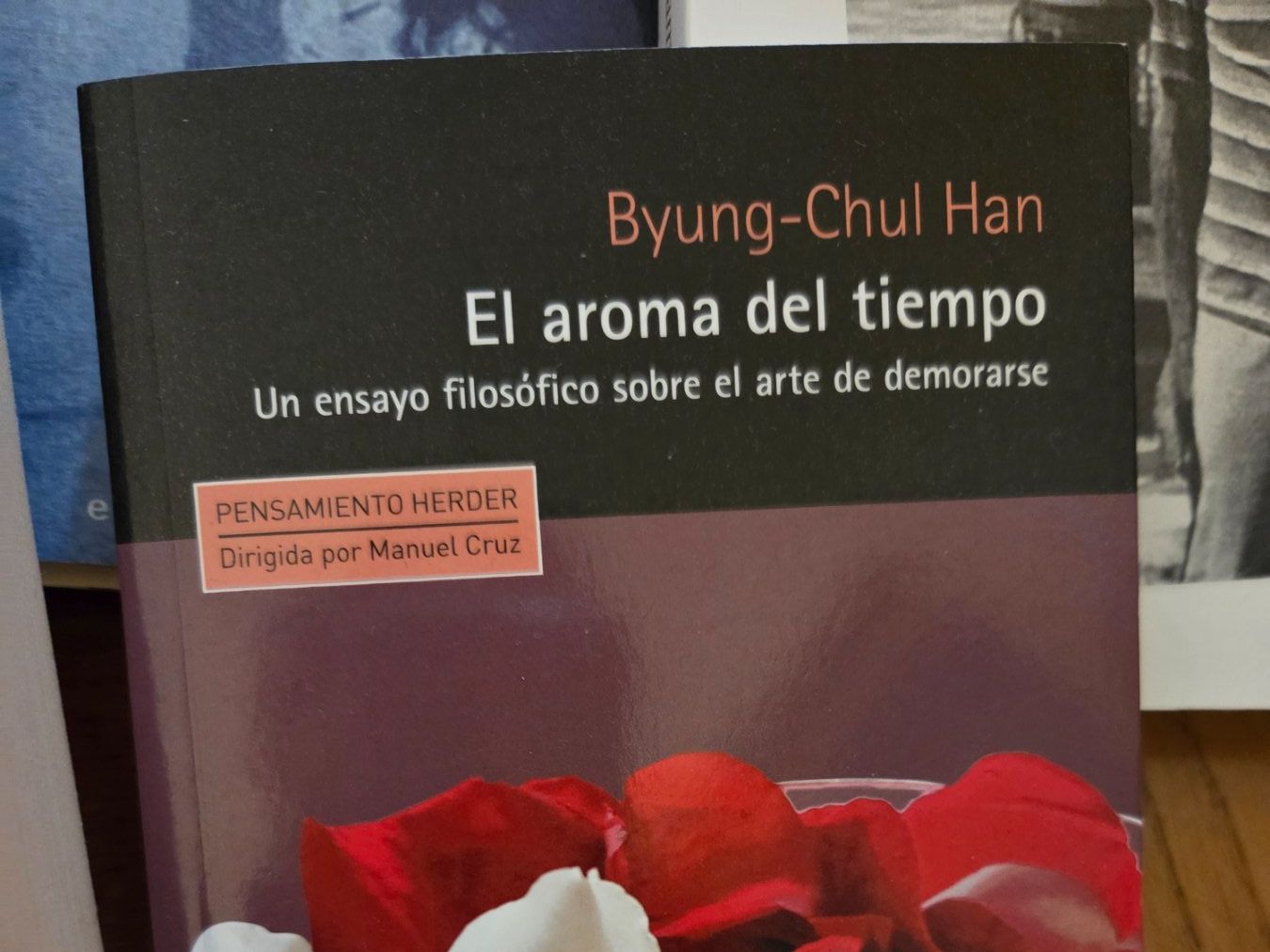 Libri: Perfekt gepflegte spanische Literatur – Usato da Zürich venduto da Anja67 8