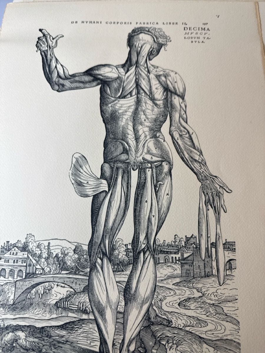 Libri: Le livre avec 9 planches anatomiques – Usato da Schmitten FR venduto da Hohezelg 1