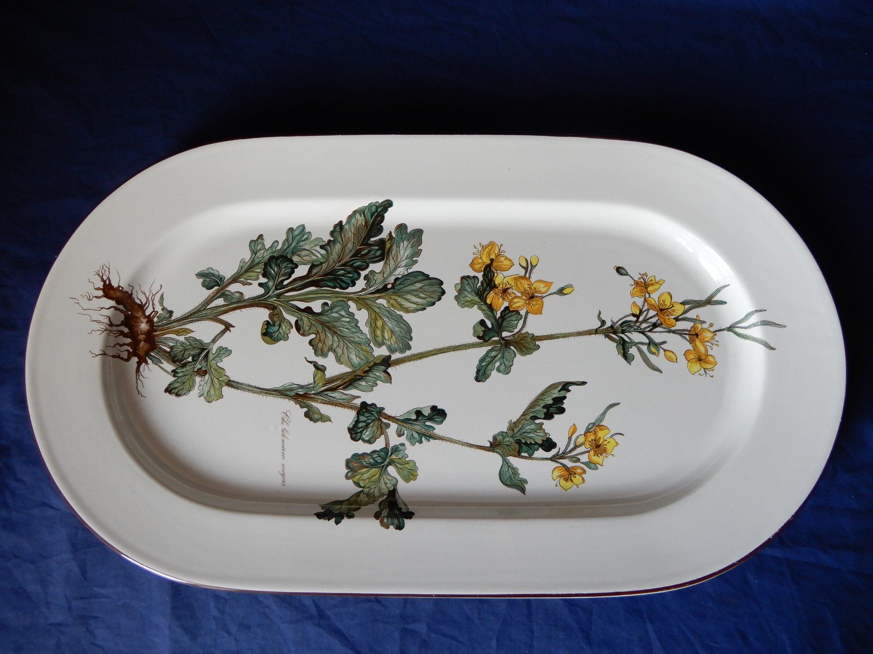 Villeroy & Boch Piatti di portata: Villeroy & Boch Botanica, Fleischplatte 45 cm - – Usato da Senèdes venduto da tintinette43 1