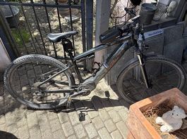 Specilized Turbo Tero 3.0 E-Bike MTB Hardtail Grün