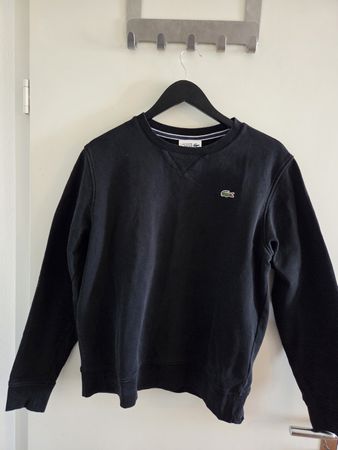 Lacoste Sweater