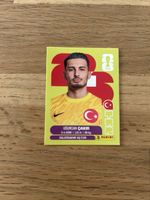 Panini TUR 2