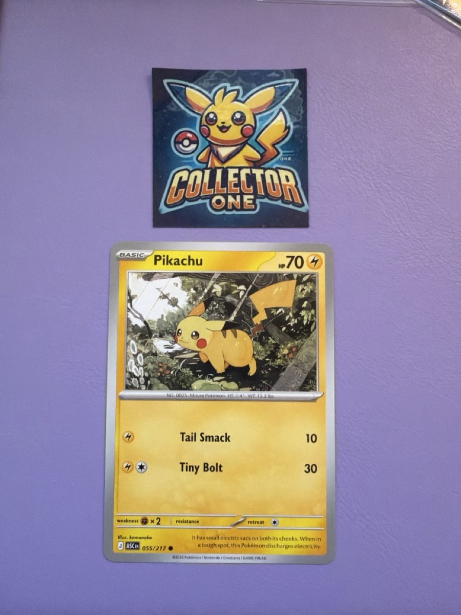 Pokémon Carte collezionabili: Pokemon Pikachu Fanfavorite – Nuovo (secondo la descrizione) da Lommiswil venduto da CollectorOne