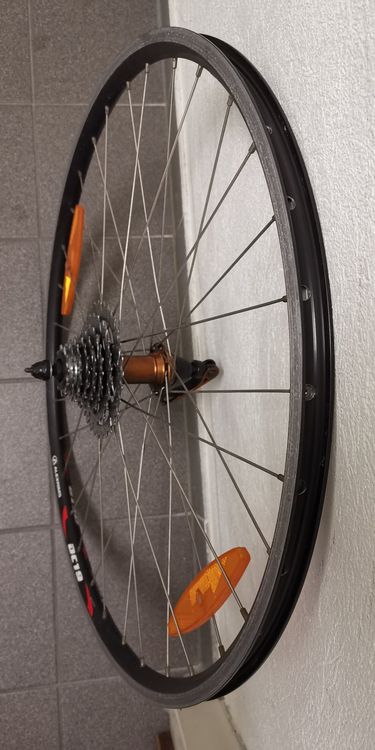 Roue discount velo alexrims