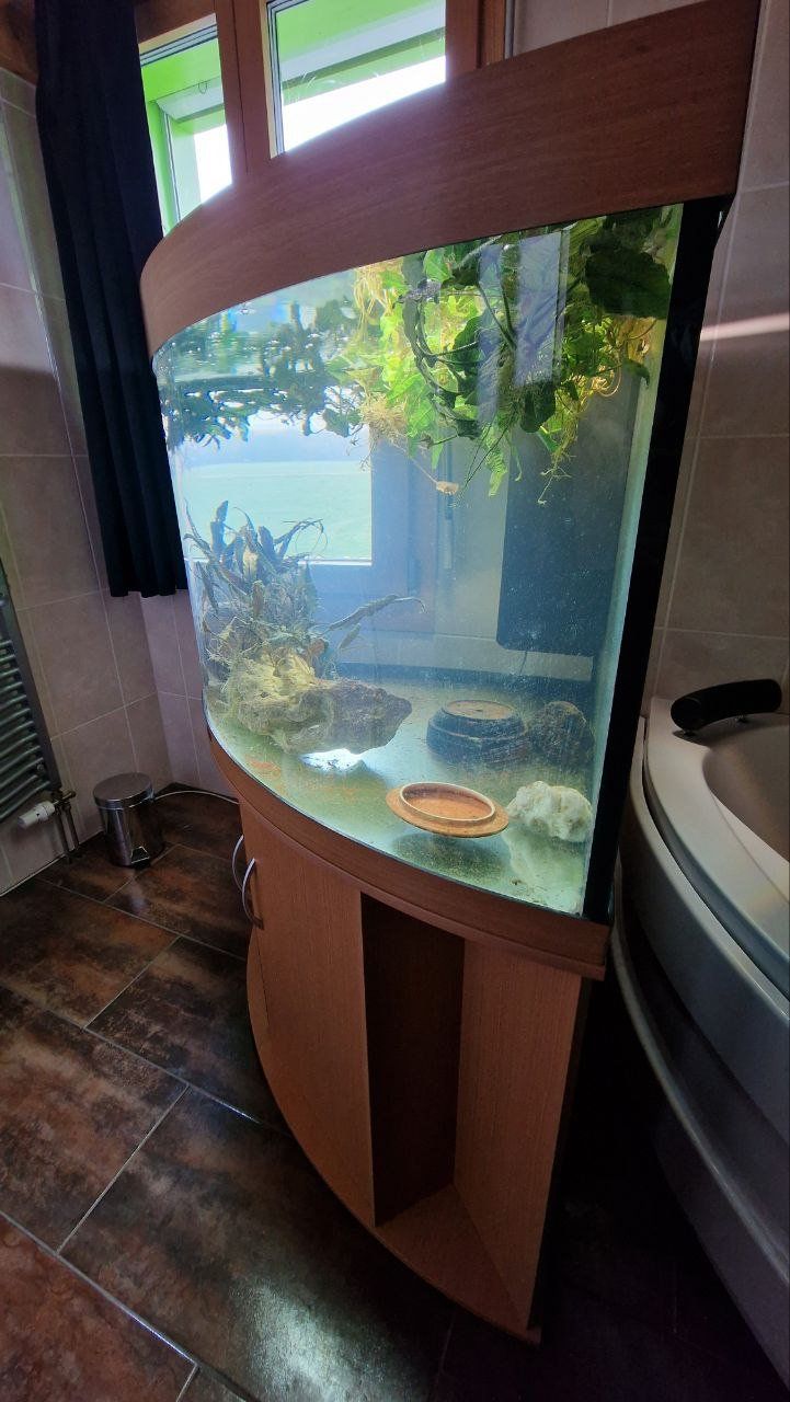 Acquari: Juwel Aquarium 300 – Usato da Blumenstein venduto da olka007 3