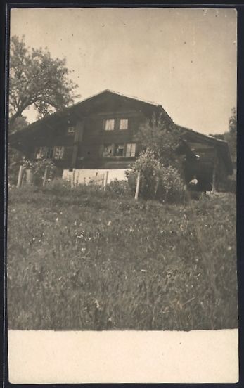 Cartoline postali: AK Beatenberg, Das Ferienhaus Fenz – Usato da Berlin venduto da bartko-reher