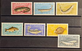 Rumänien 1960 Fische komplett MNH postfrisch (7 Stk.)