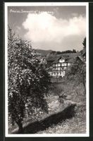 Gamserberg, Pension SONNENBLICK um 1930